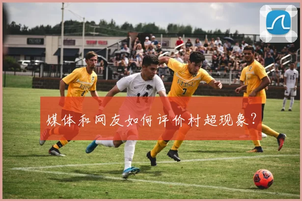 媒体和网友如何评价村超现象?