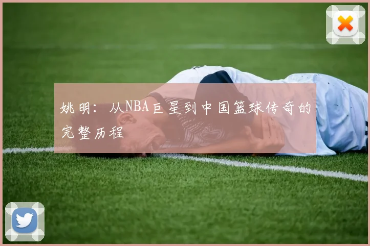 姚明:从NBA巨星到中国篮球传奇的完整历程